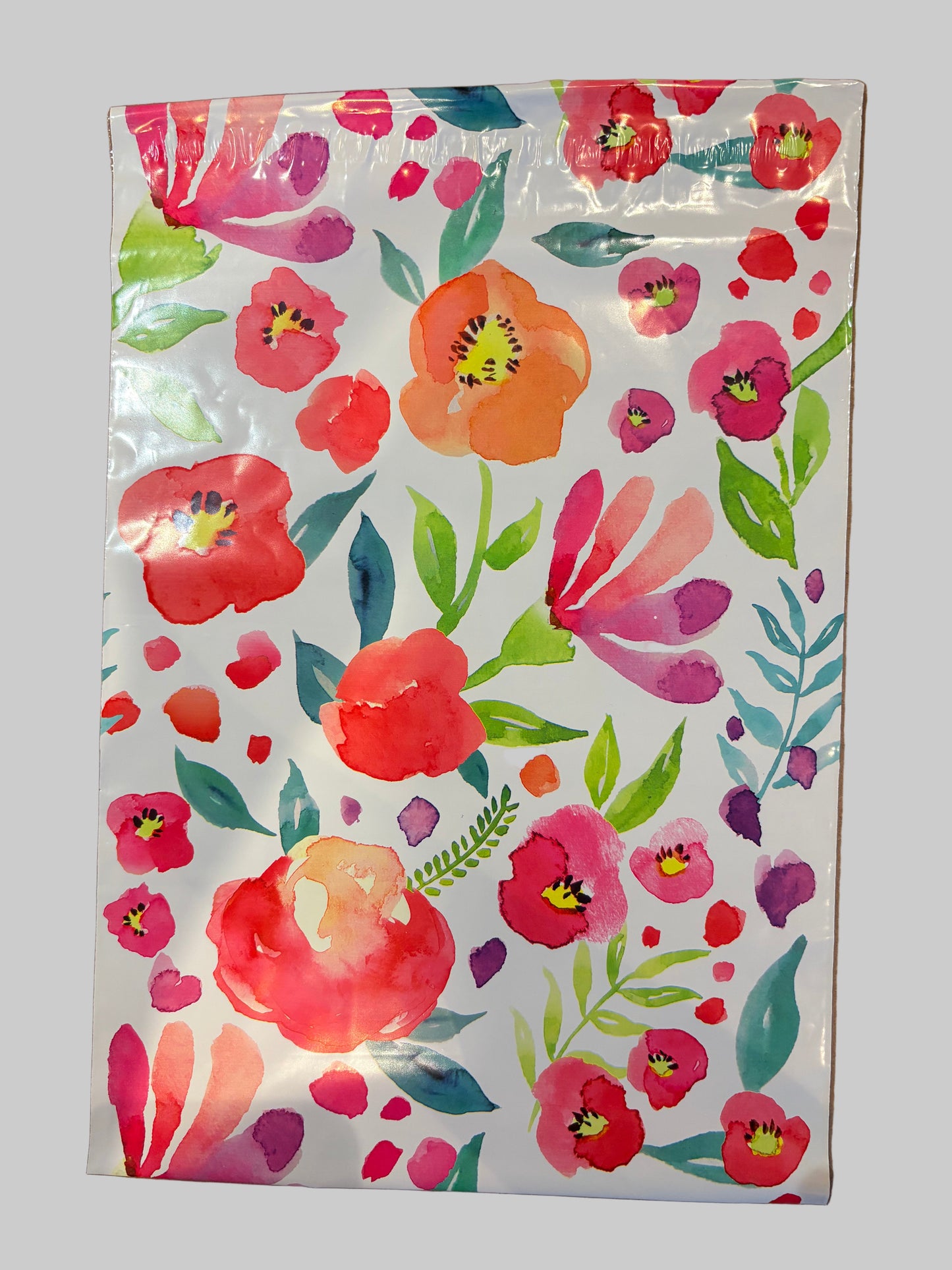 Poly Mailer Bags (25 pack)