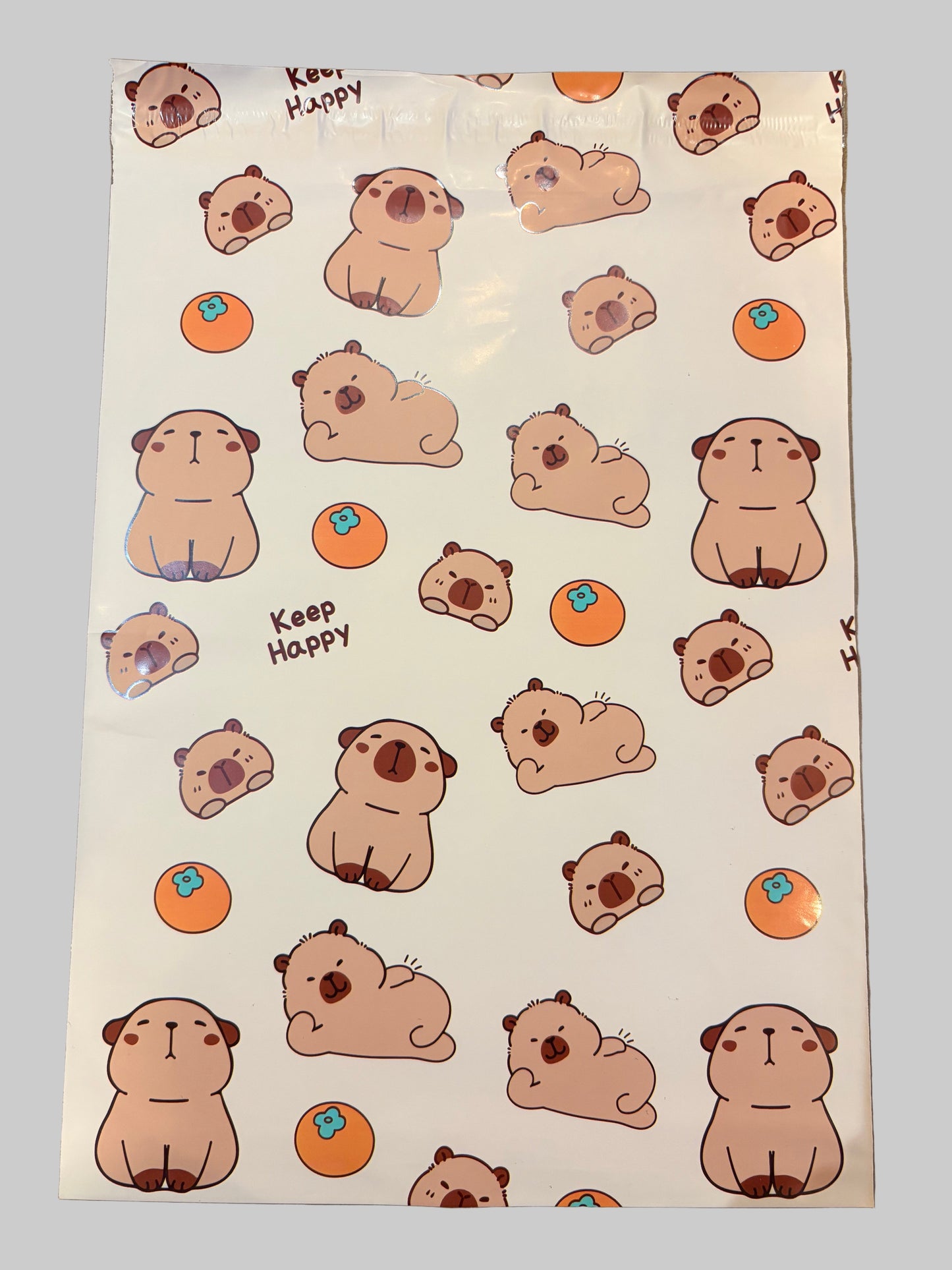 Poly Mailer Bags (25 pack)